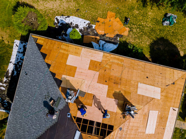 Best Metal Roofing Contractor  in Fairview Shores, FL