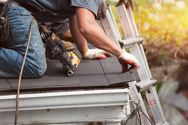 Best Roof Gutter Cleaning  in Fairview Shores, FL